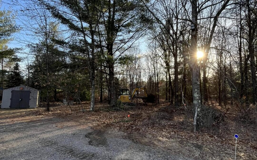 Silver’s Excavation and Construction: Brush Clearing Project