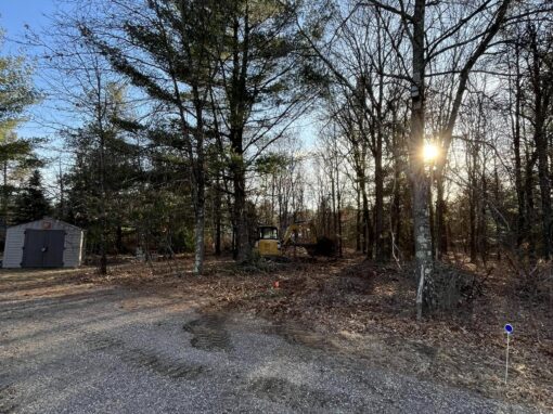 Silver’s Excavation and Construction: Brush Clearing Project