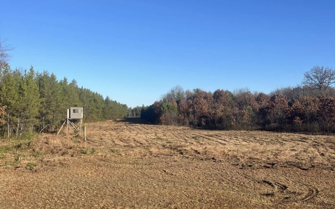 Silver’s Excavation and Construction – Brush Hogging and Land Clearing
