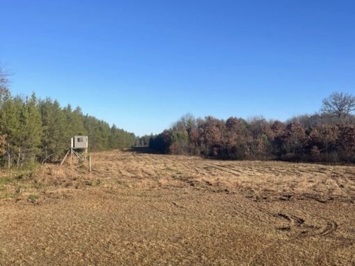 Silver’s Excavation and Construction – Brush Hogging and Land Clearing